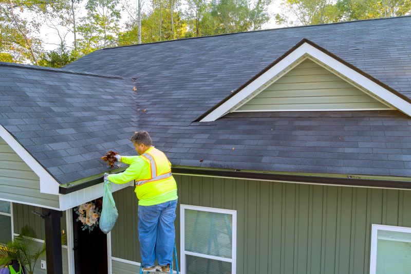 Debris-Free Gutters